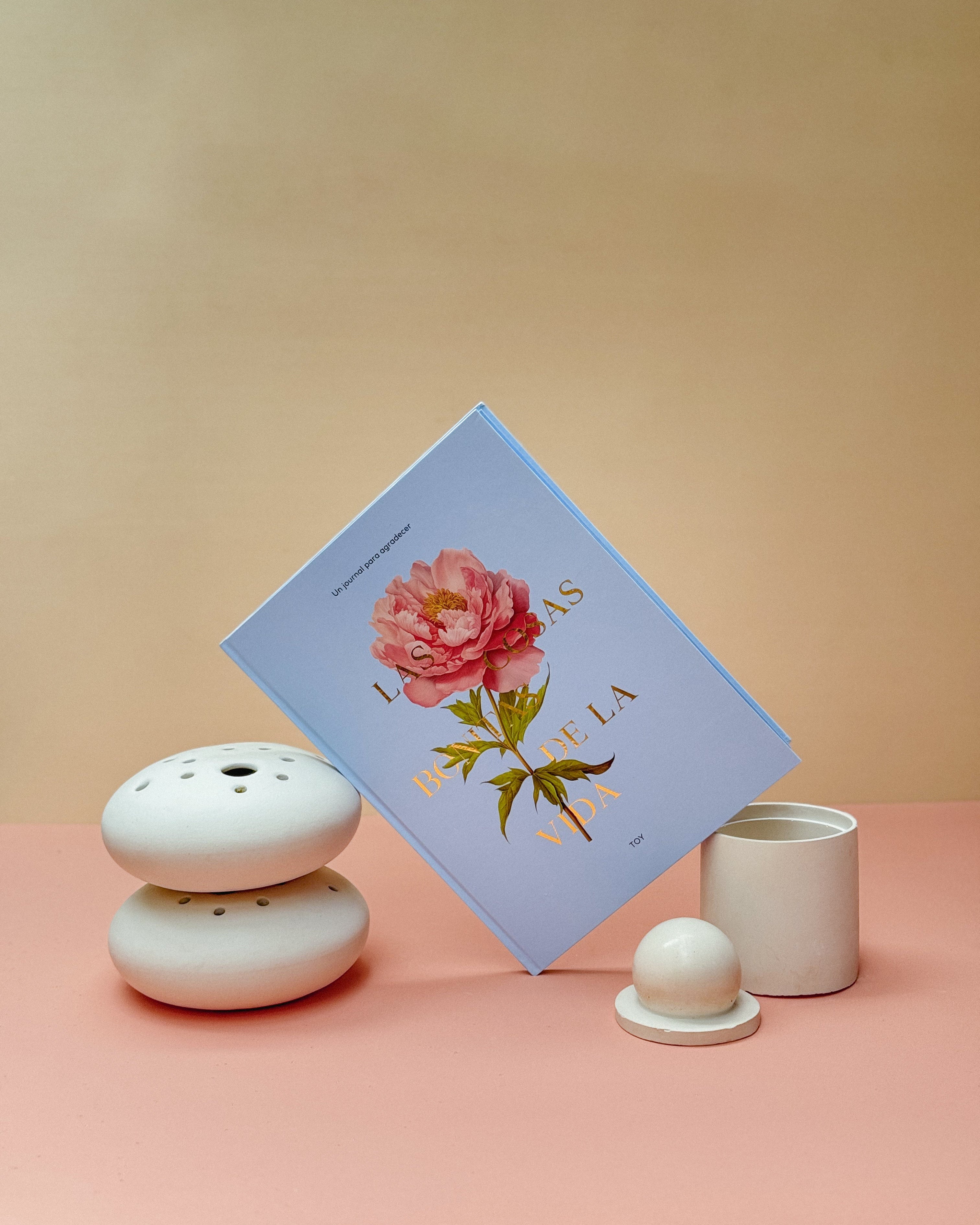 Journal de Gratitud 0004